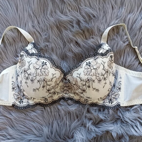 Elegant cream embroidered floral lace bra with black trim - Picture 2 of 3